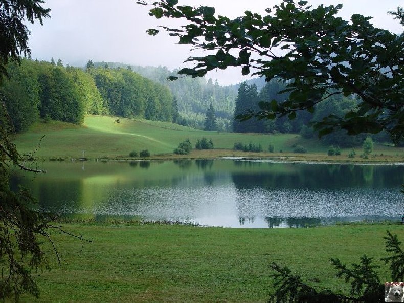 Lac Genin