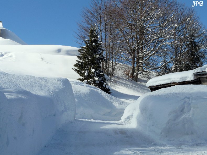 Les Hautes Combes par Jean-Pierre Bouvard - 4/11/2009 003