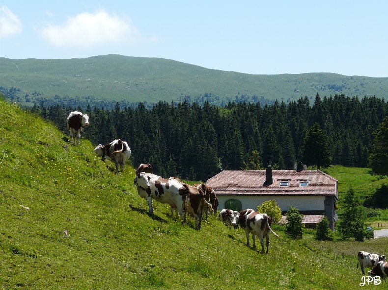 Les Hautes Combes par Jean-Pierre Bouvard - 4/11/2009 023