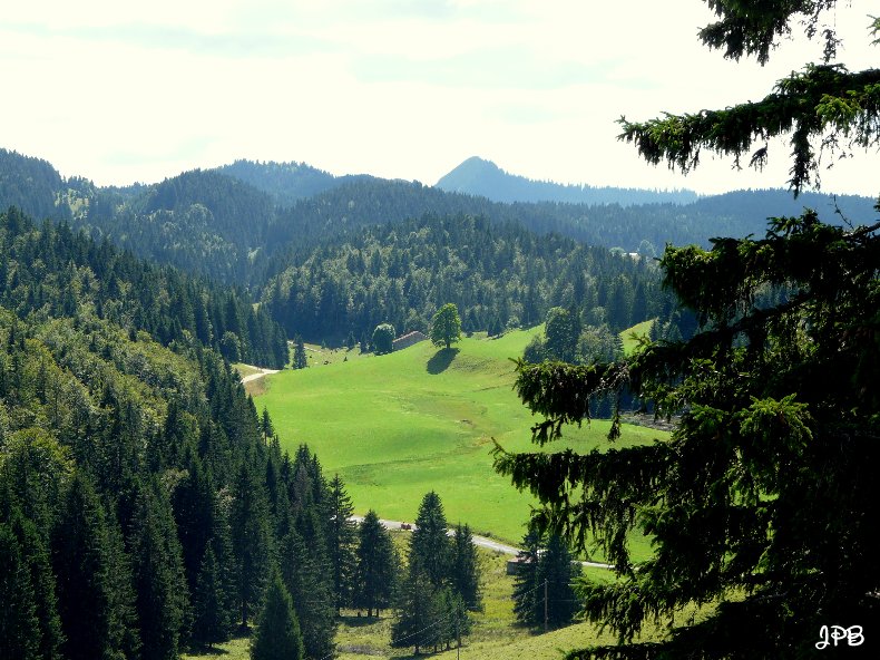 Les Hautes Combes par Jean-Pierre Bouvard - 4/11/2009 032