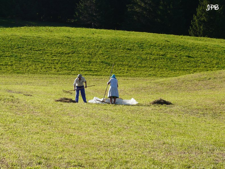 Les Hautes Combes par Jean-Pierre Bouvard - 4/11/2009 033