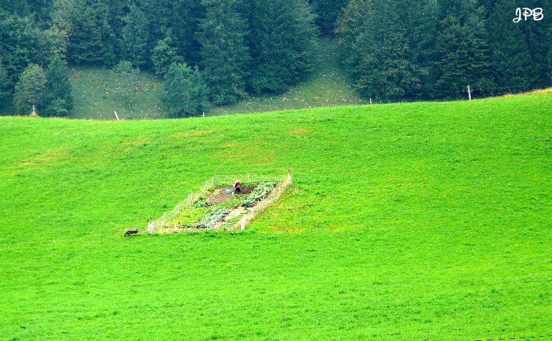 Les Hautes Combes par Jean-Pierre Bouvard - 4/11/2009 034