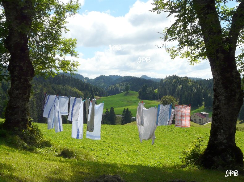 Les Hautes Combes par Jean-Pierre Bouvard - 4/11/2009 035