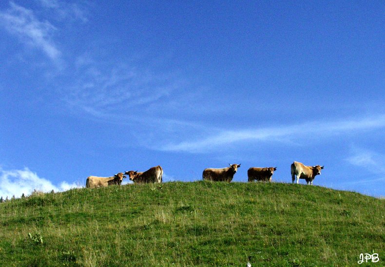 Les Hautes Combes par Jean-Pierre Bouvard - 4/11/2009 038