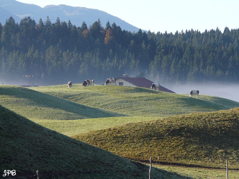 Les Hautes Combes par Jean-Pierre Bouvard - 4/11/2009 047