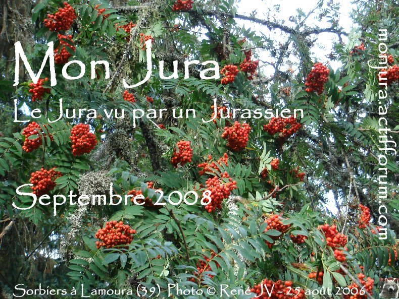 Mon Jura