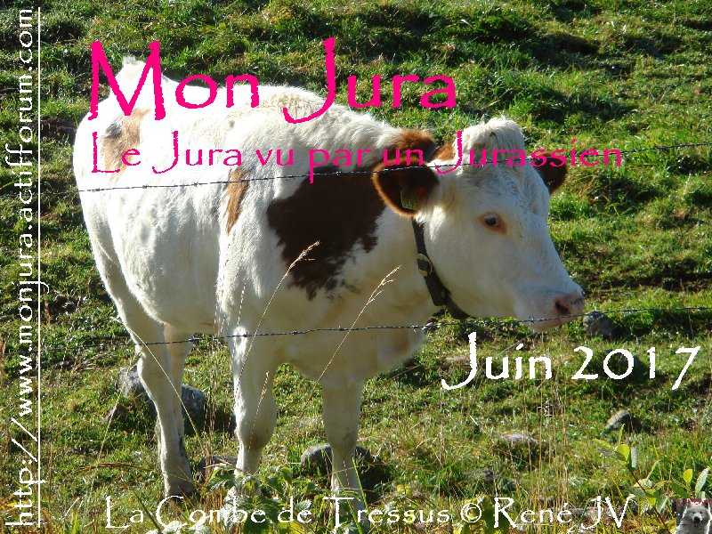 Mon Jura