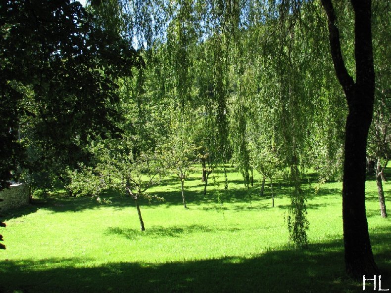 Le Paradis est-il dans la vallée de la Valserine ? Hélène L - 8 septembre 2010 0008