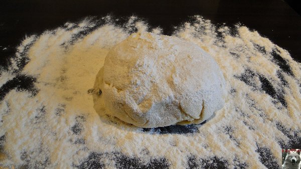 Le Pâté en croûte de Loup Blanc - 21 décembre 2010 0012
