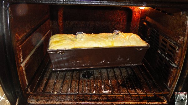 Le Pâté en croûte de Loup Blanc - 21 décembre 2010 0027