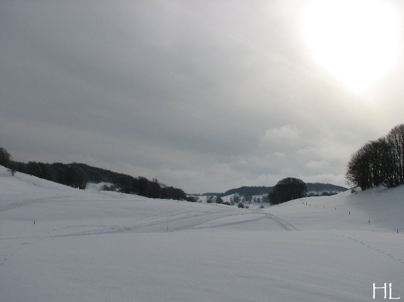 Au sud du Massif Jurassien, le Plateau de Retord 0019