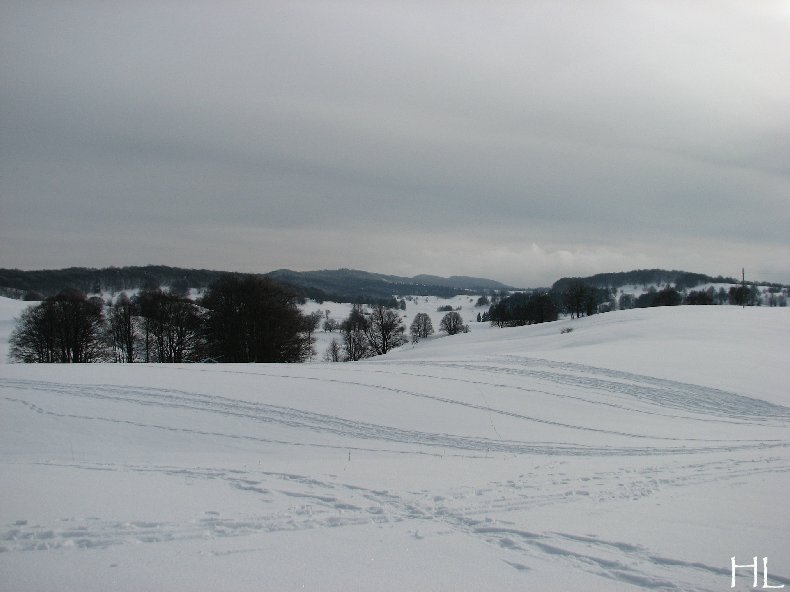 Au sud du Massif Jurassien, le Plateau de Retord 0021