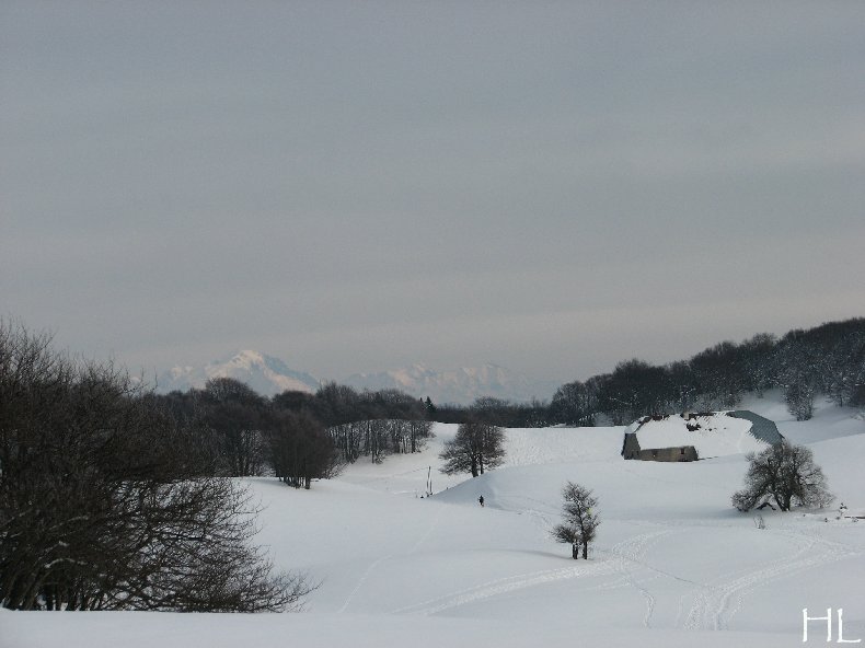 Au sud du Massif Jurassien, le Plateau de Retord 0022