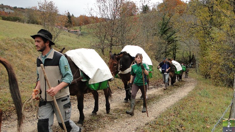 La 13 ème Transhum'âne - 30 - 31 octobre et 1er novembre 2010 0014