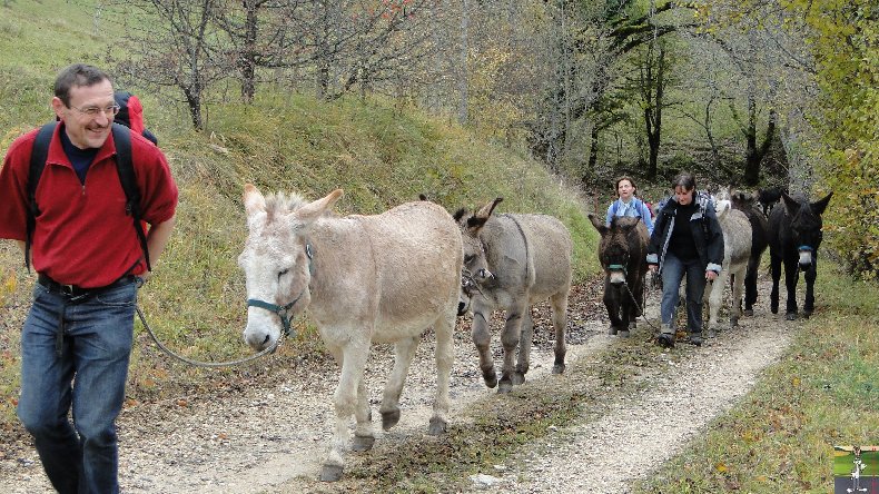 La 13 ème Transhum'âne - 30 - 31 octobre et 1er novembre 2010 0019